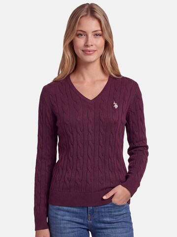U.S. POLO ASSN. Sweater in Purple: front