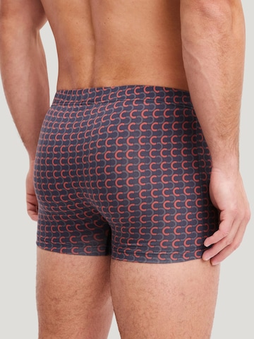 CALIDA Boxer shorts 'Grafic Cotton' in Grey
