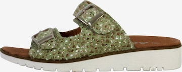 Zoccoletto di The Divine Factory in verde: frontale