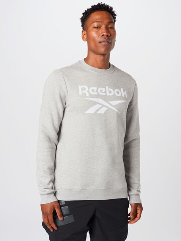 Reebok Sweatshirt in Grey: front