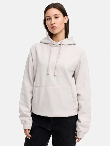 Daily Cotton Sweatshirt 'DCBAEZA' in Grey: front