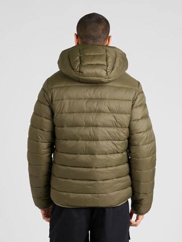 HOLLISTER Winter jacket in Green