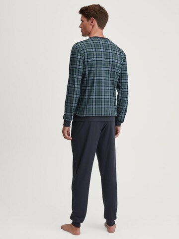 CALIDA Pajamas long in Green