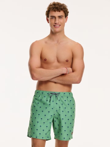 Shiwi Plavecké šortky 'PALM' - Zelená: predná strana