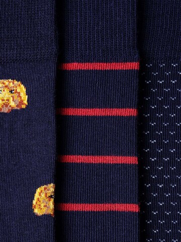 Hackett London Socken ' HARRY ' in Blau