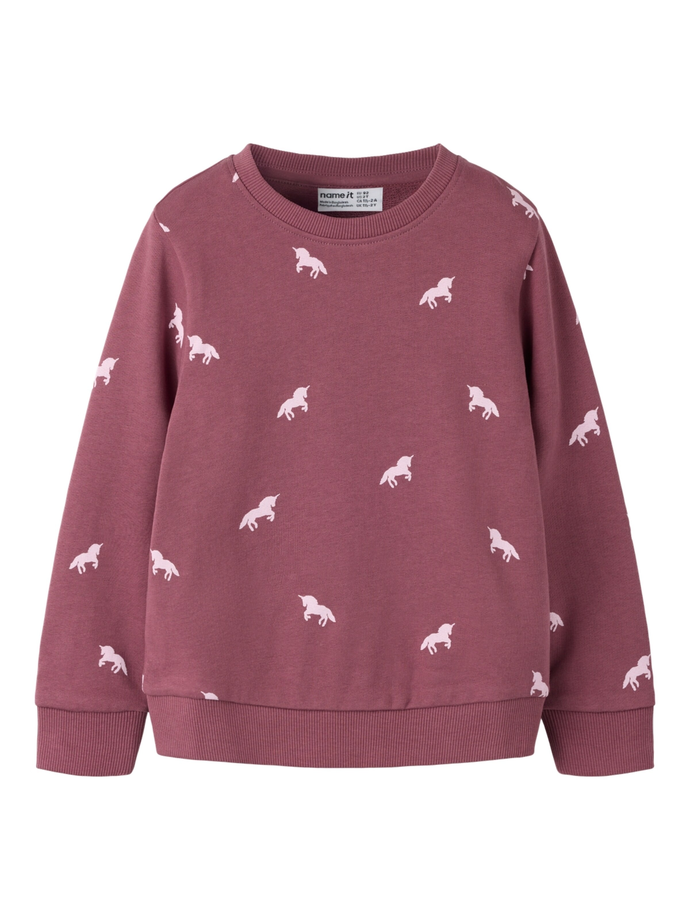 NAME IT Sweatshirt 'NMFValba' in Lila: Vorderseite