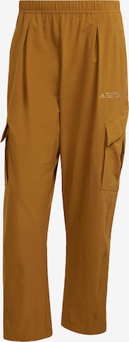 ADIDAS TERREX - Pantalón de montaña 'Xploric' en marrón: frente