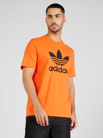 ADIDAS ORIGINALS Majica 'Adicolor Classics Trefoil' | oranžna barva: sprednja stran