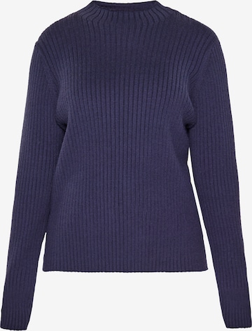 mėlyna usha BLUE LABEL Megztinis: priekis