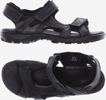 ECCO Sandals & Slippers in 39 in Black: front
