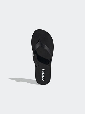 ADIDAS SPORTSWEAR Босоножки через палец 'Keitaki Alpha' в Черный