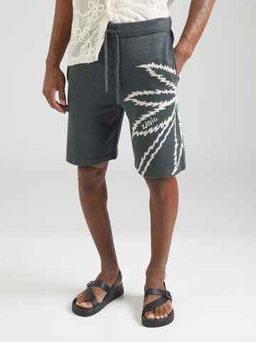 Zadig & Voltaire Regular Trousers in Grey: front