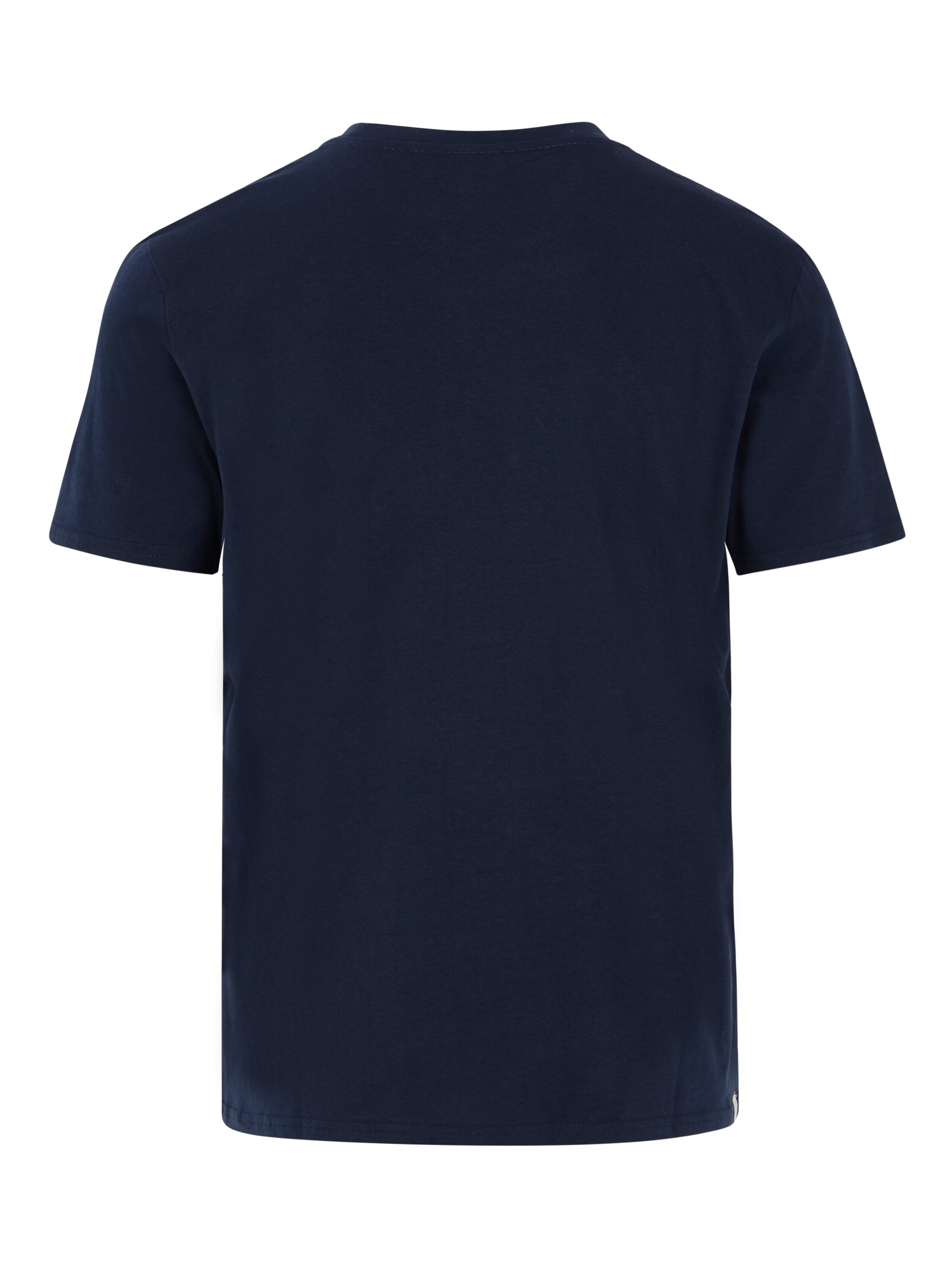 PROTEST Shirt 'PRTSTAN' in Blauw