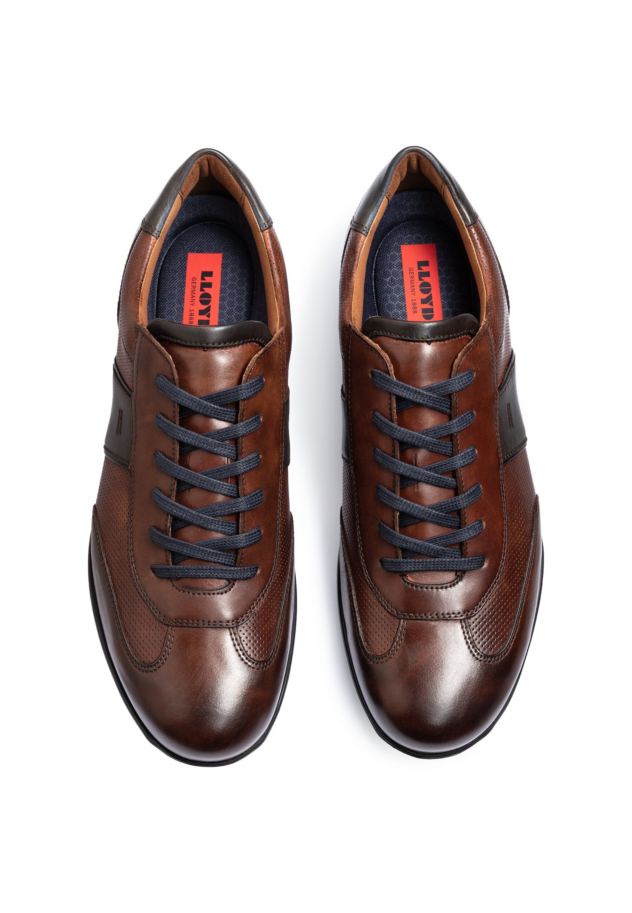 LLOYD Tenisky 'Akin' – hnědá