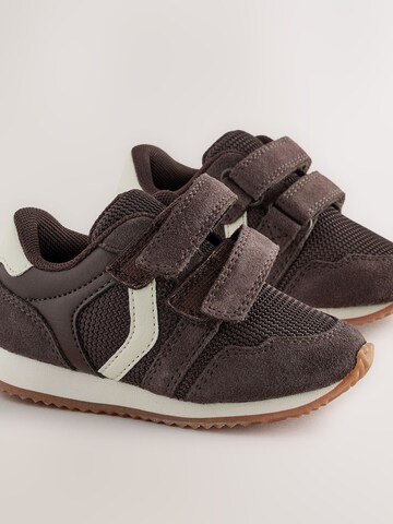 Next Sneakers in Bruin