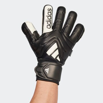 ADIDAS PERFORMANCE Sporthandschuhe in Schwarz
