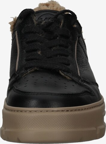 Paul Green Sneakers in Black