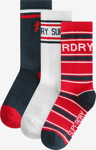 mėlyna Superdry Kojinės: priekis