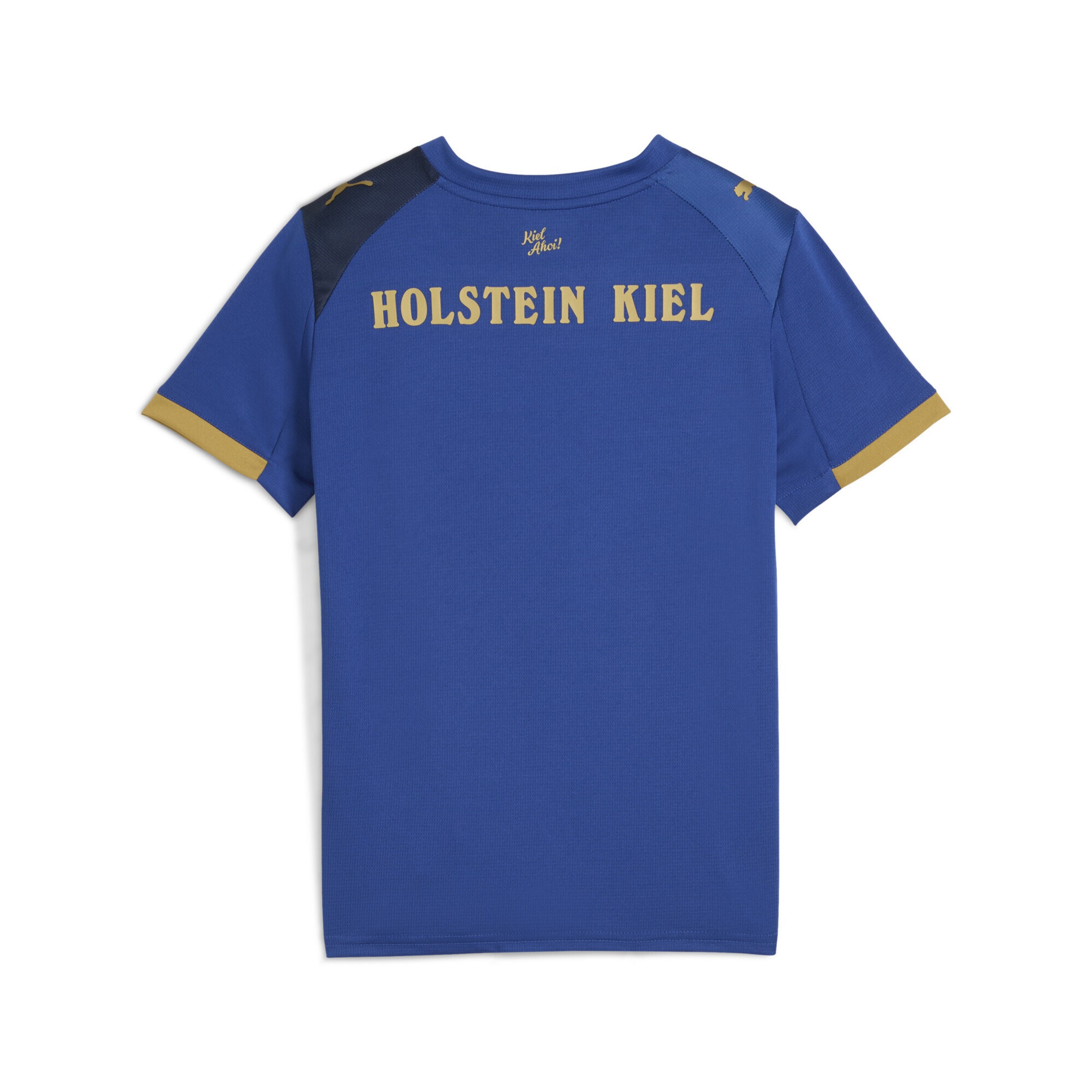 PUMA Performance shirt 'Holstein Kiel 25/26' in Blue