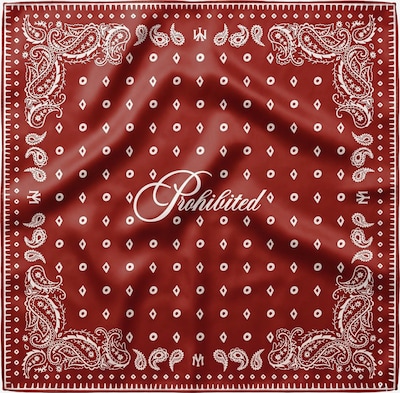 Prohibited Foulard en One Size en rouge carmin / blanc naturel, Vue avec produit