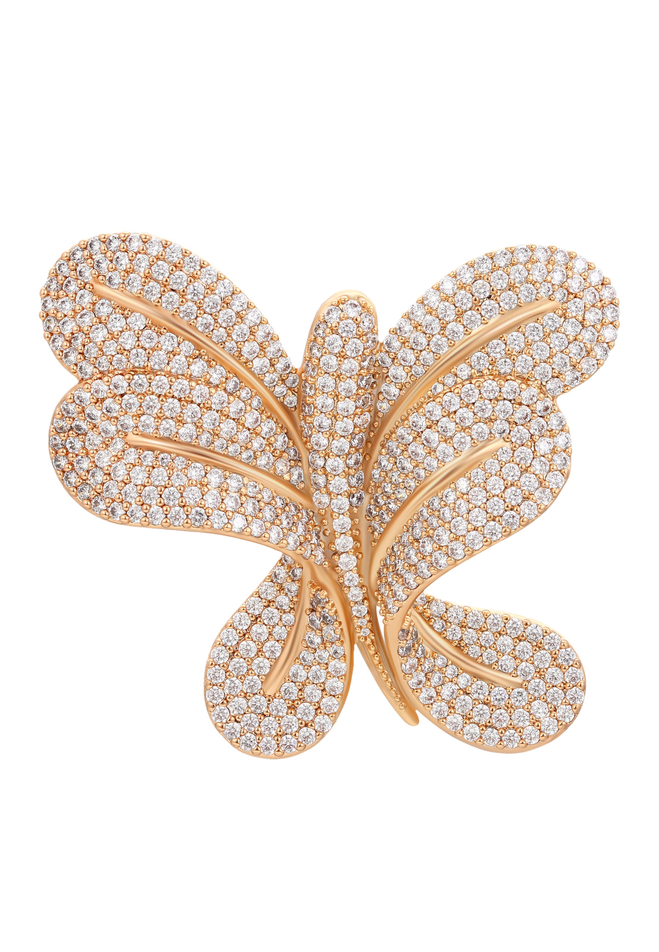 faina - Atrelado em ouro: frente