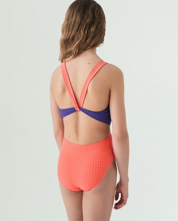 Scalpers Swimsuit ' ' in Purple