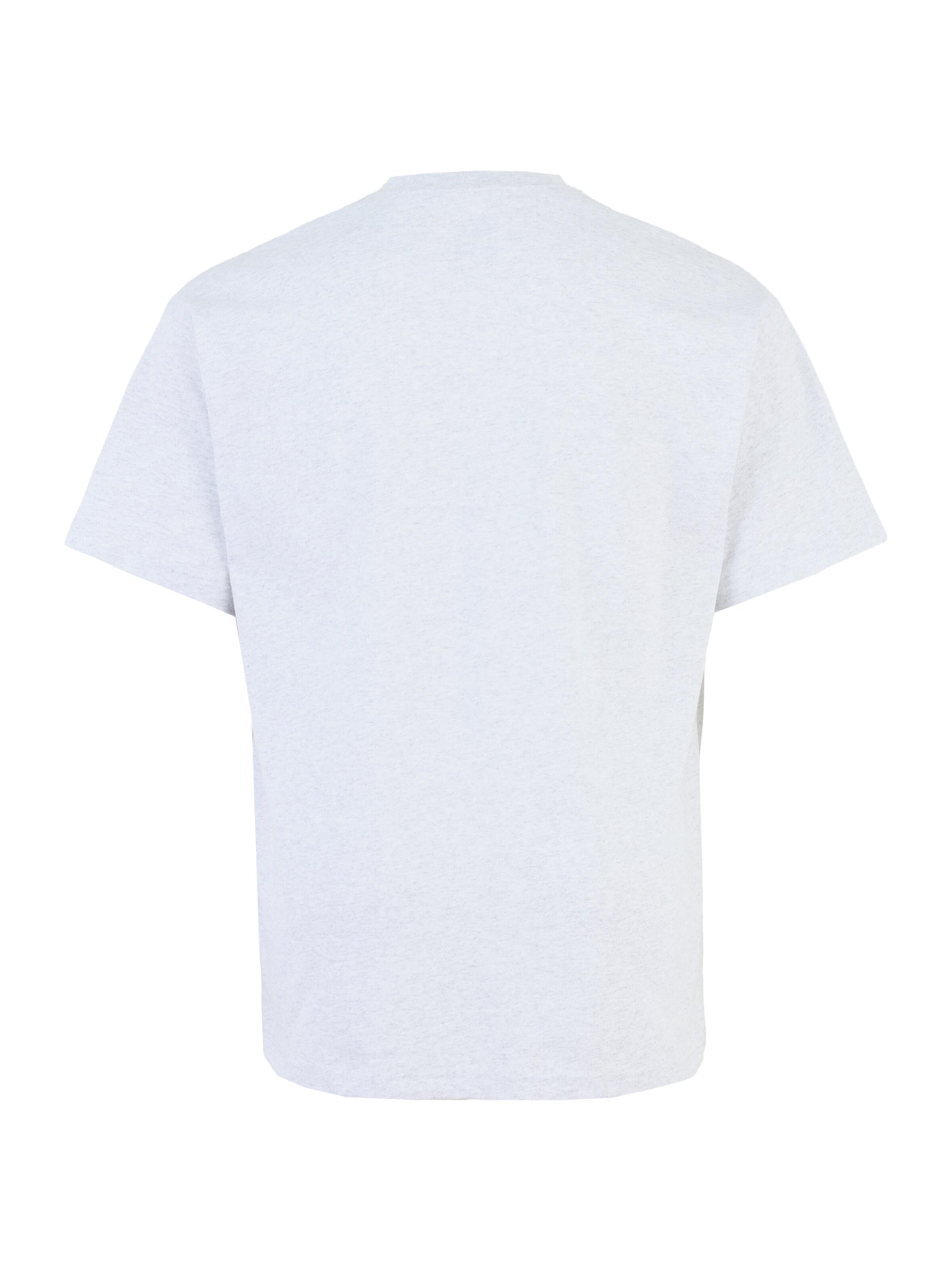 VANS Shirt 'SALTON' in Grijs: terug