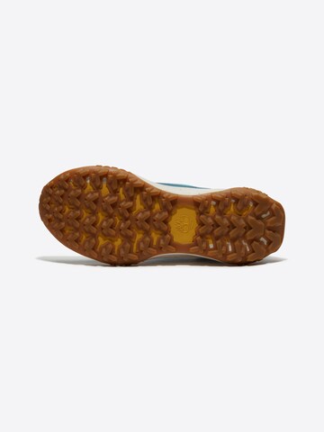 TIMBERLAND Низкие кроссовки в Синий