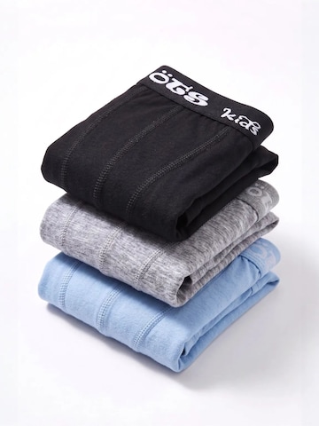 ÖTSGaće 'ÖTS Herren Boxerbriefs' - miks boja boja