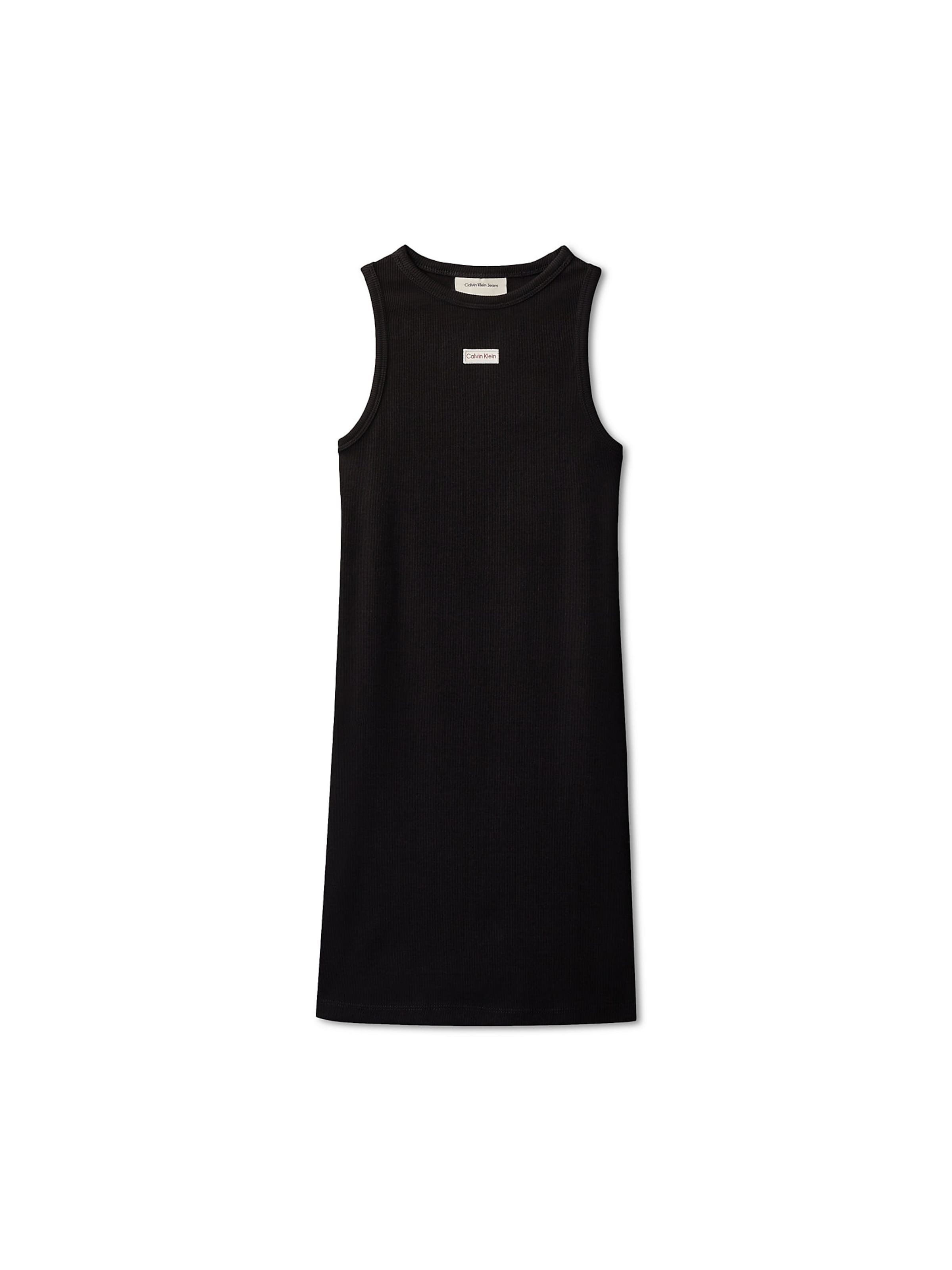 Calvin Klein Jeans Regular Dress in Black: front