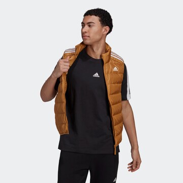 Gilet de sport ADIDAS SPORTSWEAR en marron : devant