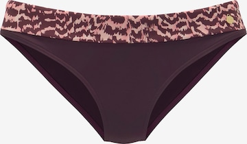 LASCANA Bikini Bottoms in Purple: front