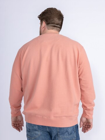 Petrol Industries Sweatshirt 'Sundrop' in Rot