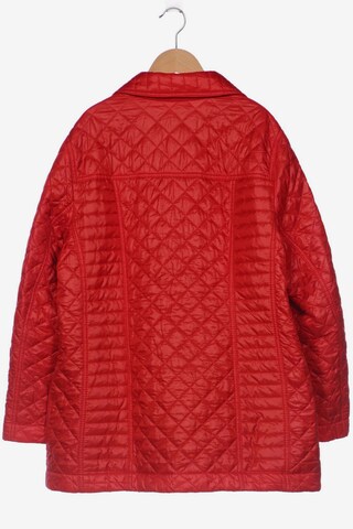 KjBRAND Jacket & Coat in XL in Red