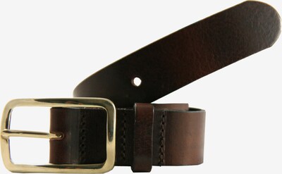 Petrol Industries Belt in Brown, Item view