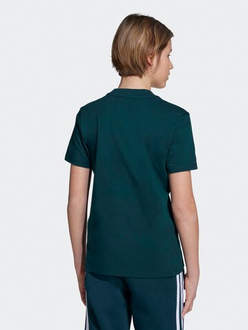T-Shirt fonctionnel 'Essentials' ADIDAS SPORTSWEAR en vert