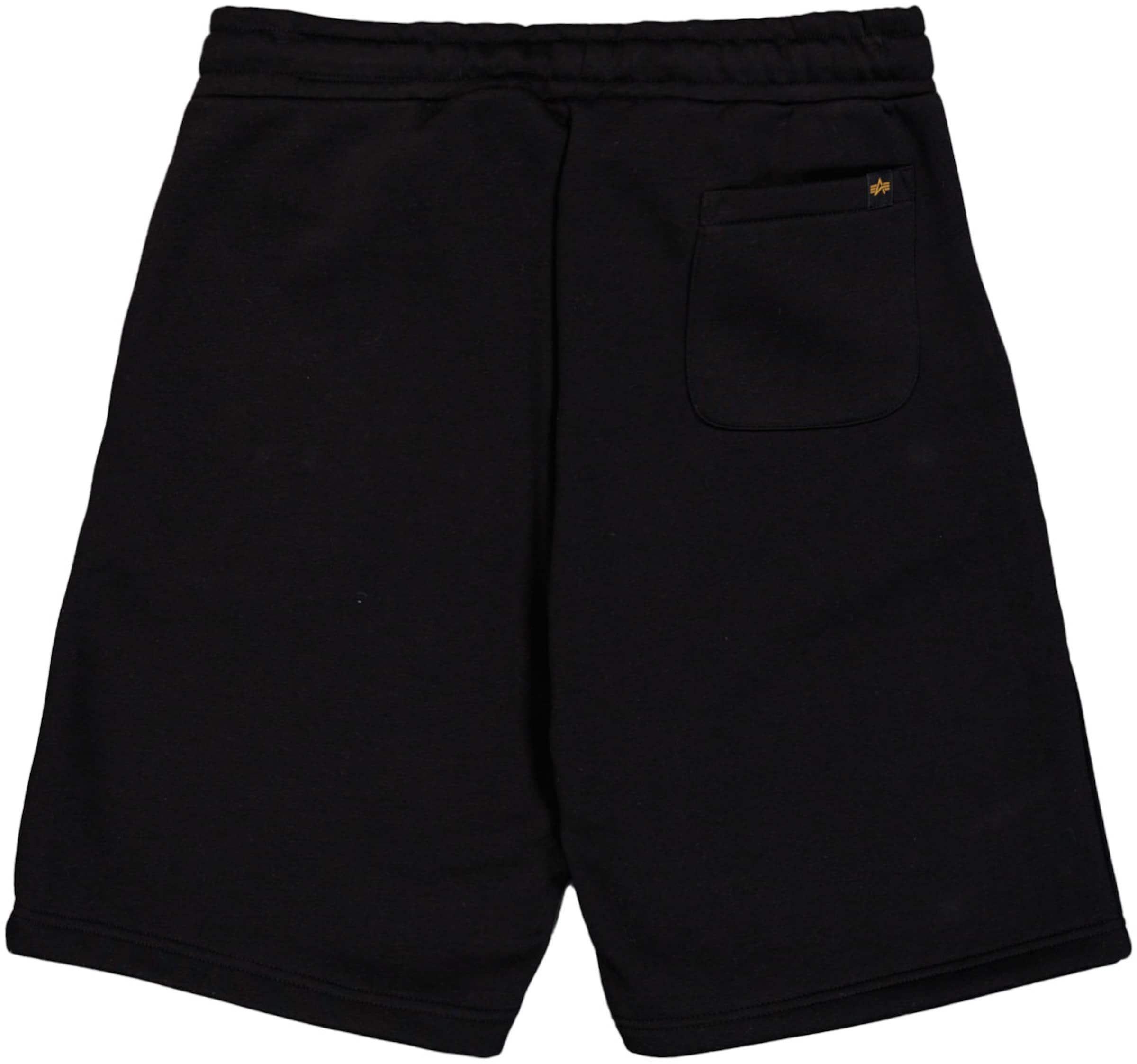 ALPHA INDUSTRIES Обычный Штаны в Черный