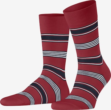 FALKE Socken 'Marina Stripe' in Rot: Vorderseite