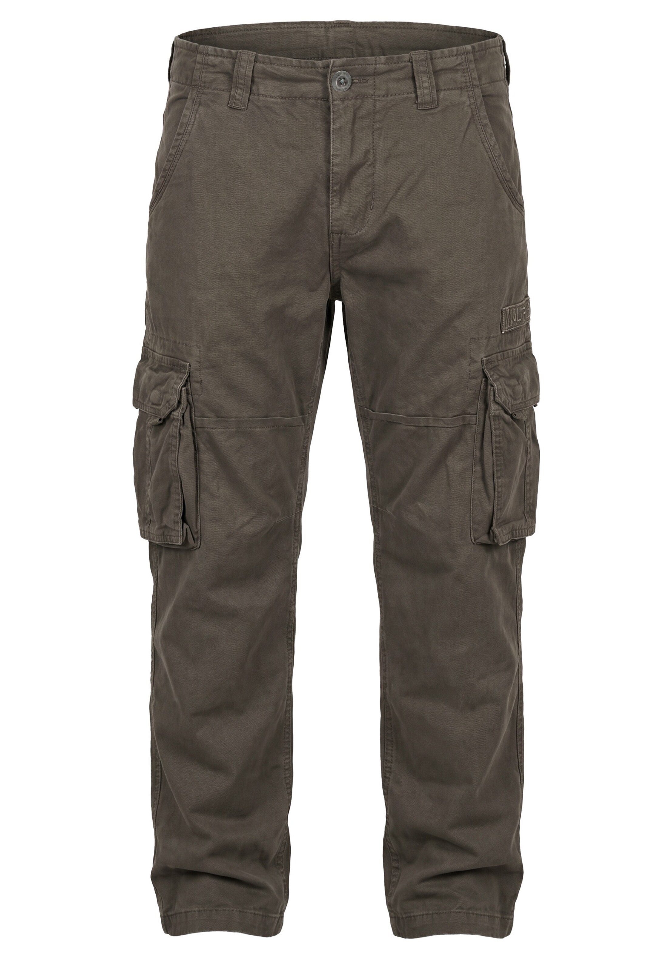 ALPHA INDUSTRIES Hose 'Jet' in Grau: Vorderseite