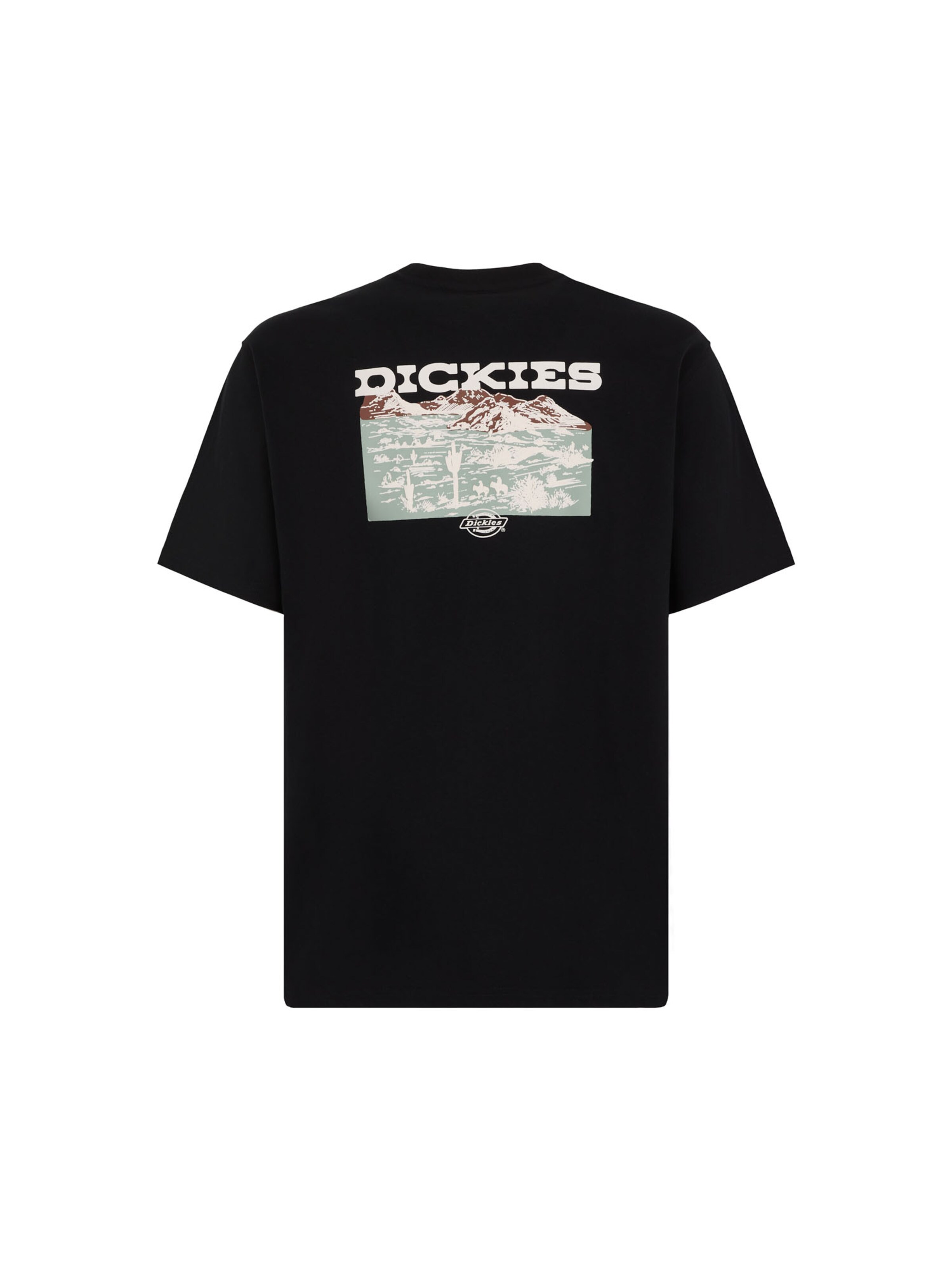 T-Shirt 'LANDASCAPE' DICKIES en noir
