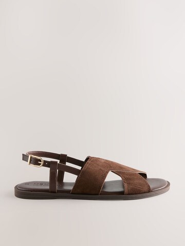 brūns Next Sandales 'Forever Comfort'