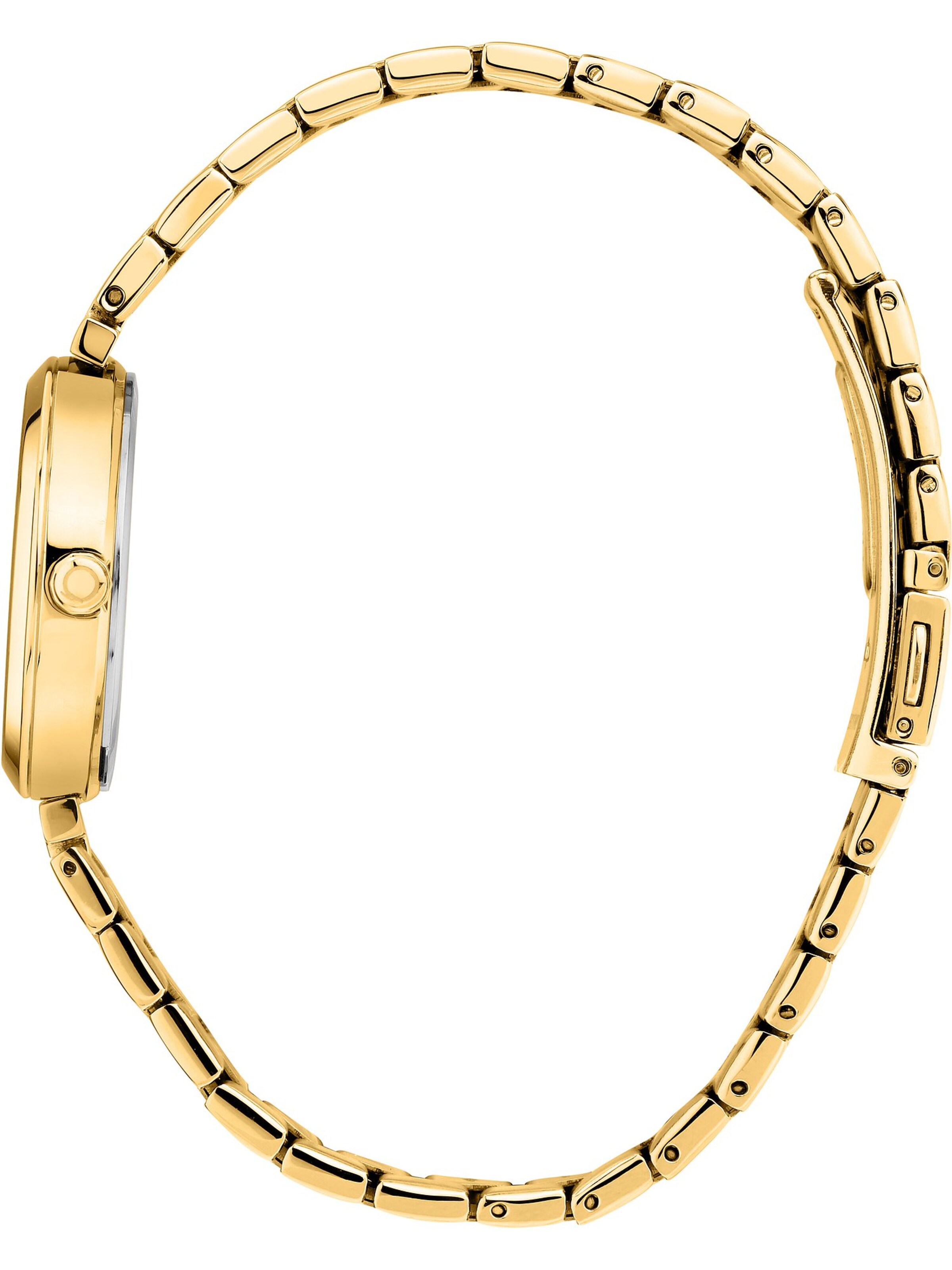 Trussardi Analoguhr in Gold