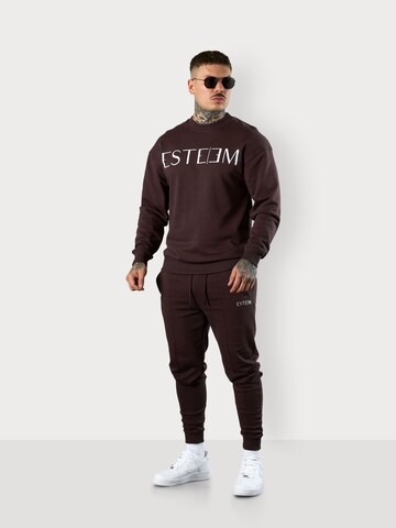 ESTEEM Collegepaita värissä ruskea