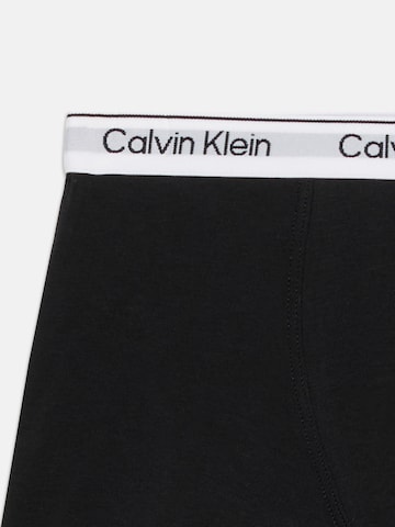 Calvin Klein Underwear Kalsong i grå