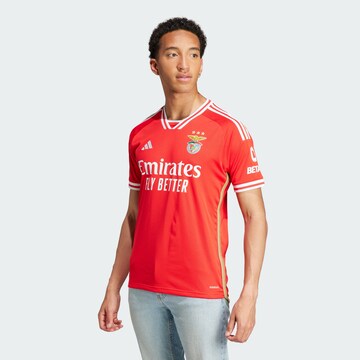 ADIDAS PERFORMANCE Jersey 'Benfica Lissabon 23/24' in Red: front