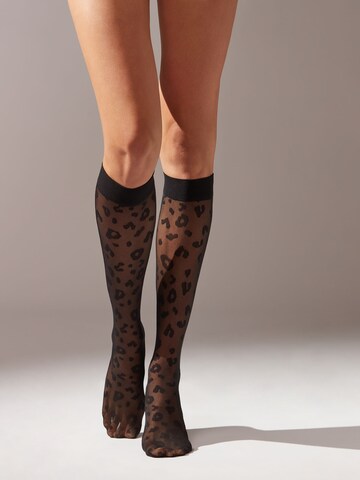 CALZEDONIA Kniefeinstrümpfe in Schwarz: Vorderseite