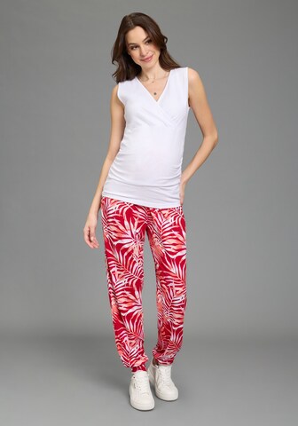 Neun Monate Tapered Hose in Rot