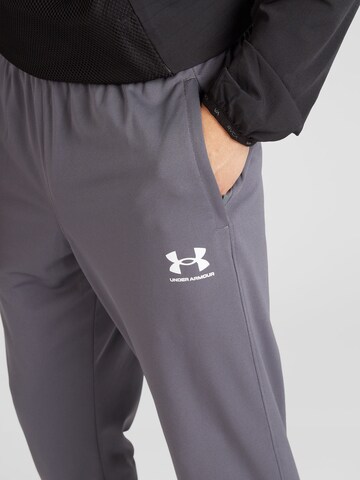 UNDER ARMOUR Štandardný strih Športové nohavice - Sivá