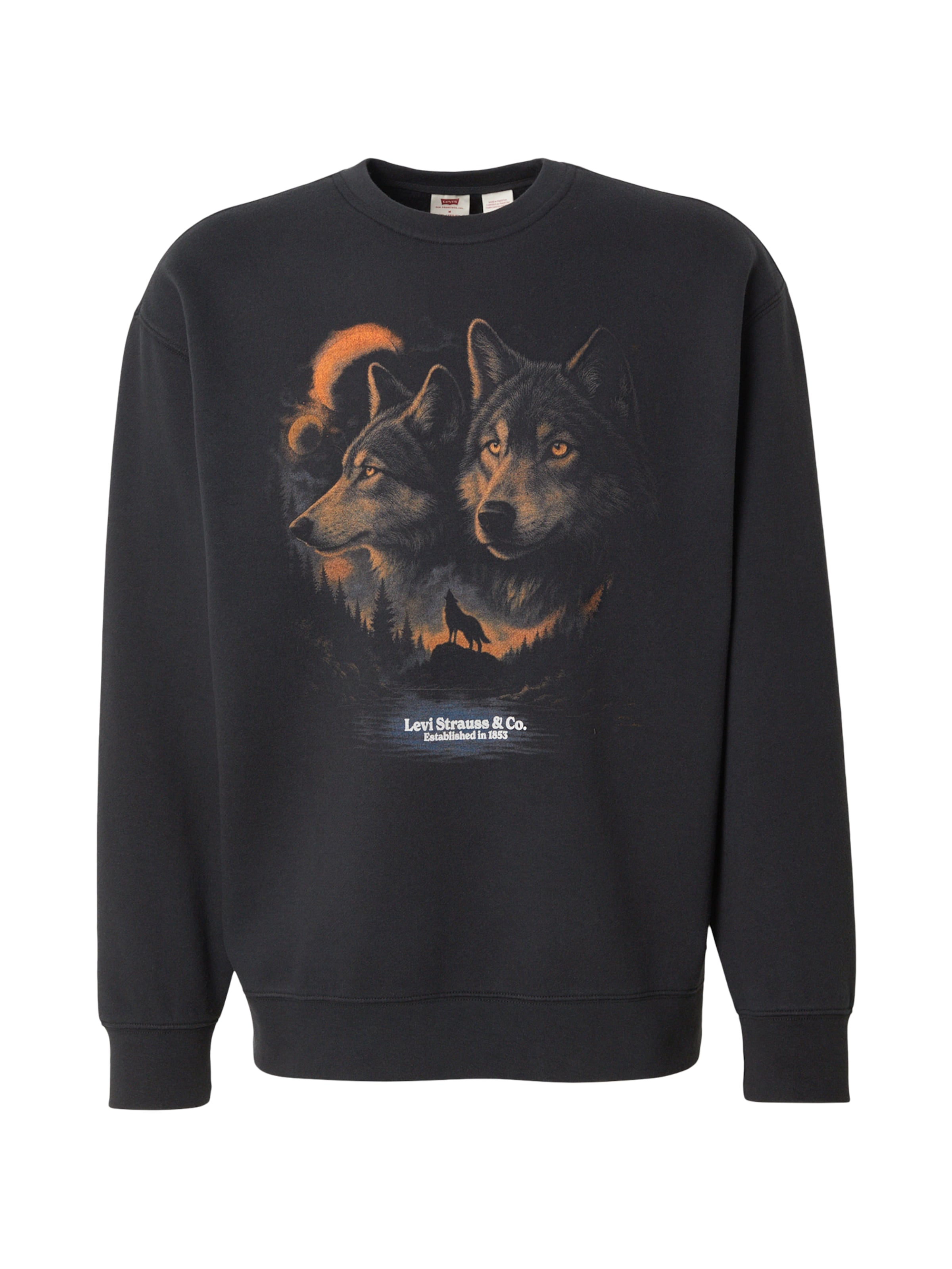 LEVI'S ® Sweatshirt in Schwarz: Vorderseite
