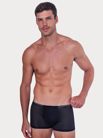 TAUWELL Boxer shorts in Black: front